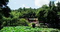 長沙出發(fā)到花明樓、韶山、張家界國家森林公園、天門仙山國家森林公園四日游
